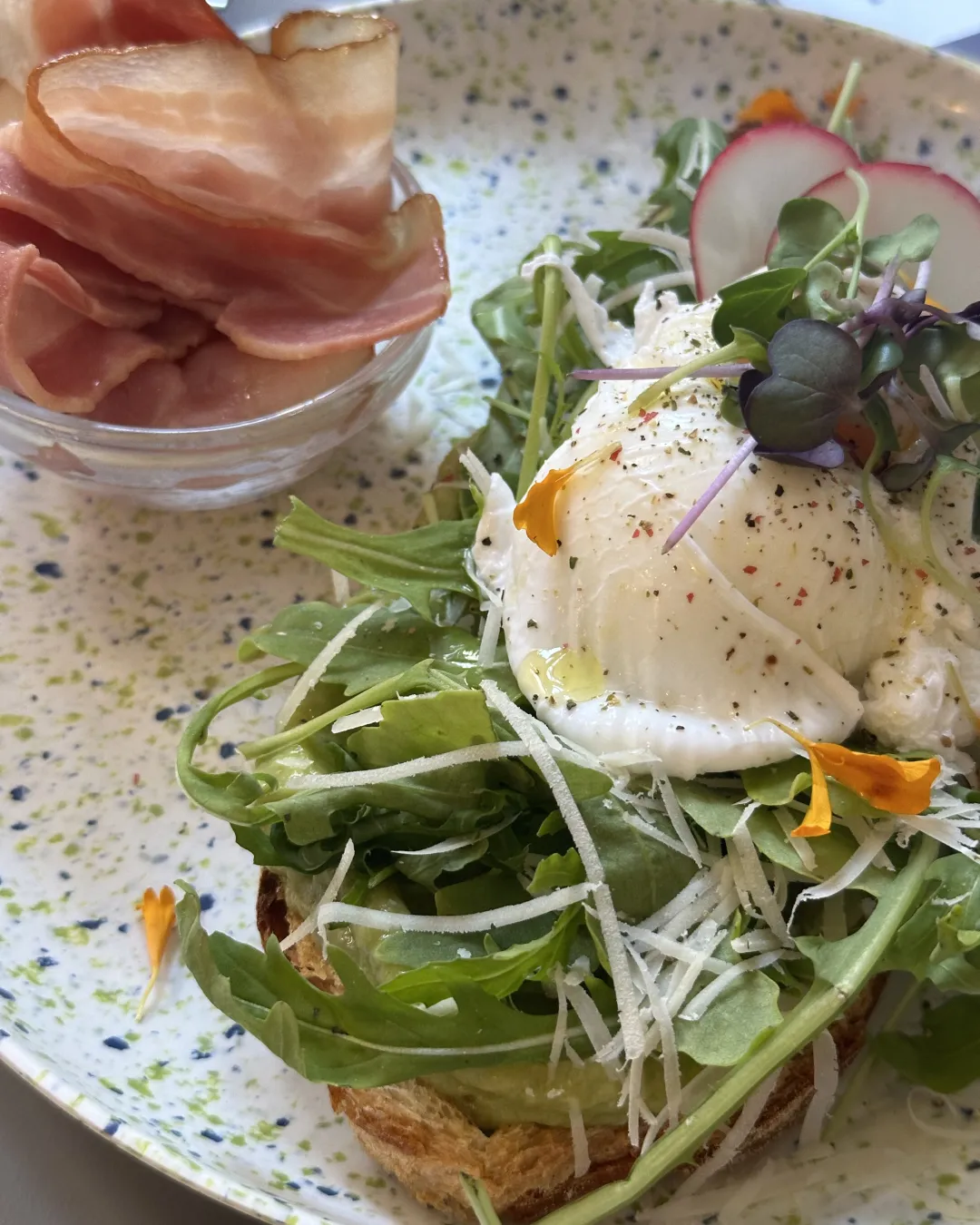 Bluebell Coffee Roasters: Ethical Sourcing & Unique Vibe