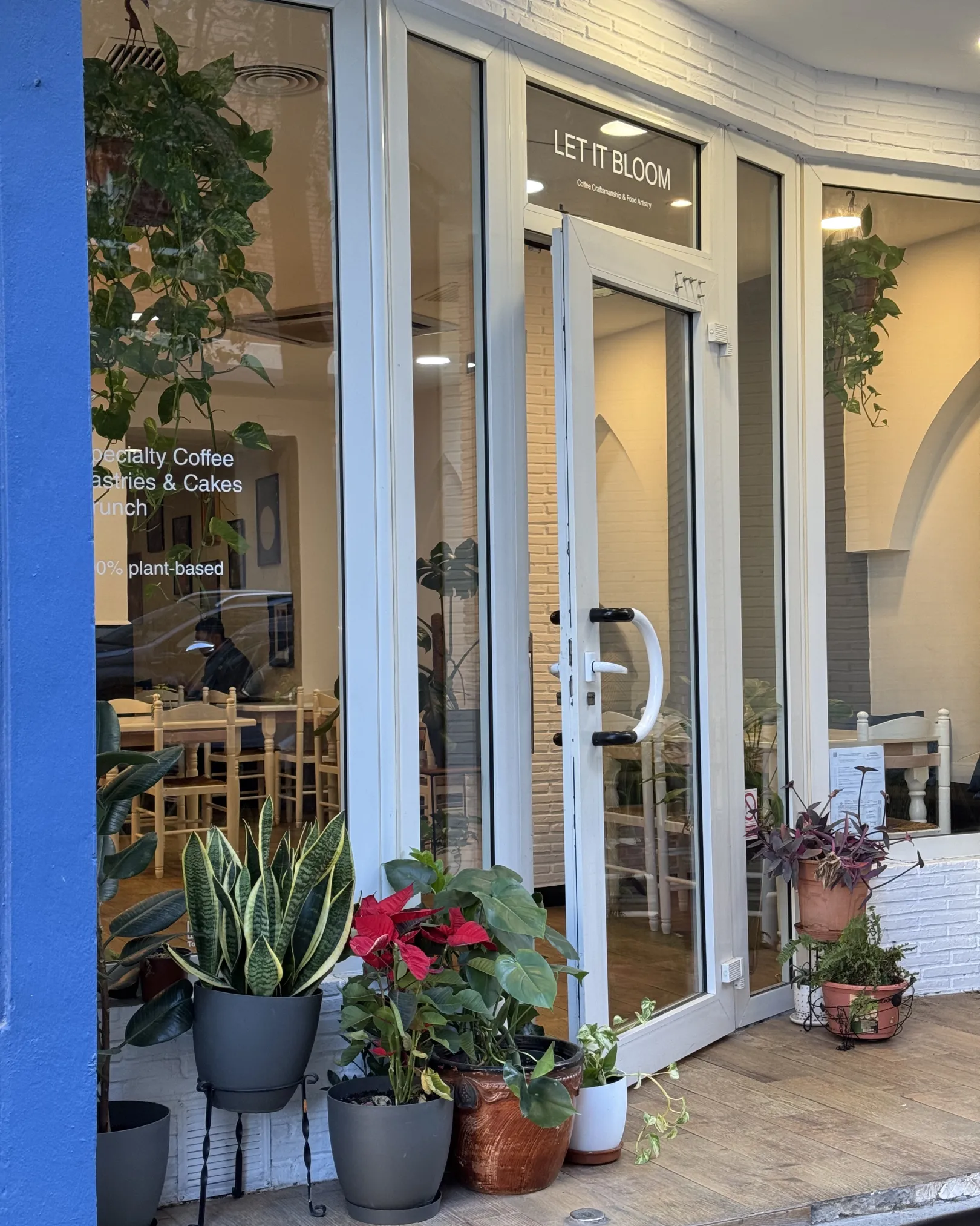 Potted plants around the entrance to Let It Bloom, Ruzafa, Valencia